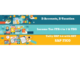 Best Accounting Course in Delhi 110080, Get Valid Certification by SLA. GST and Accounting Institute, Taxation and ERP Tally Prime Institute in Delhi,