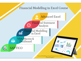 Financial Modeling Training Course in Delhi.110031. Best Online Live Financial Analyst Course in Faridabad by IIT Faculty ,