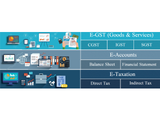 Best E-Accounting Course in Delhi, "Learn Direct Tax Code 2025" 110043, SAP FICO Course in Noida । BAT Course by SLA.