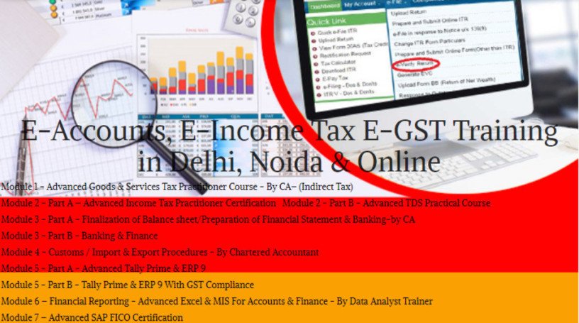 why-accounting-professionals-will-be-highly-sought-after-in-2025-100-job-accounting-certification-course-in-delhi-110087-by-sla-big-0