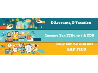 AI vs. Accountants: Why Human Expertise Will Still Be in Demand in 2025, 100% Job, Accounting Course in Delhi