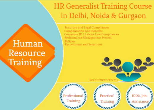 advanced-hr-certification-course-in-delhi-110088-with-free-sap-hcm-hr-certification-by-sla-consultants-institute-in-delhi-ncr-big-0